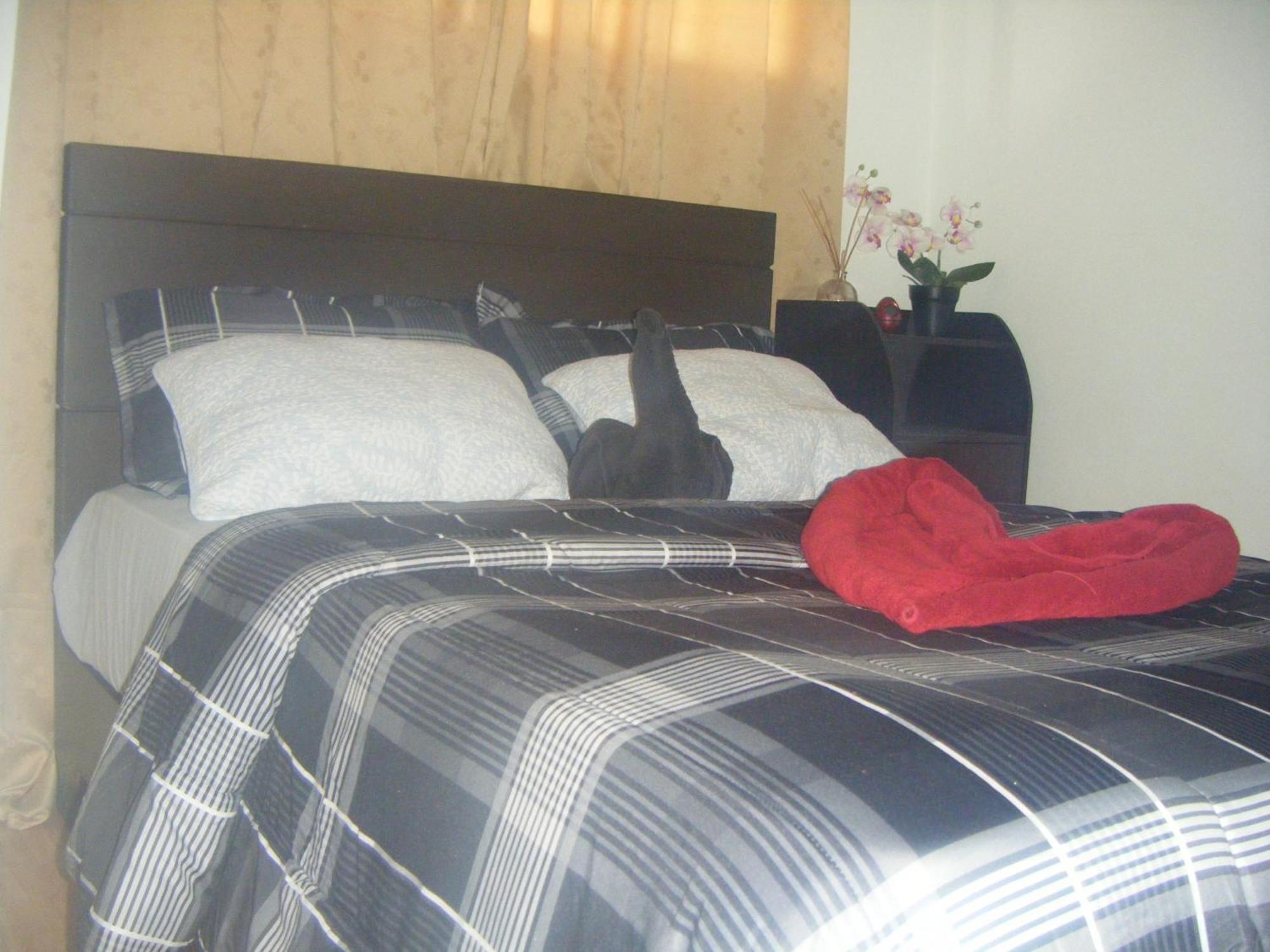 The Oasis Davao Condotel Екстер'єр фото